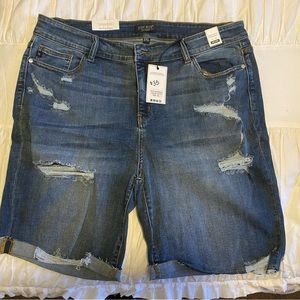 Judy Blue Shorts 3X